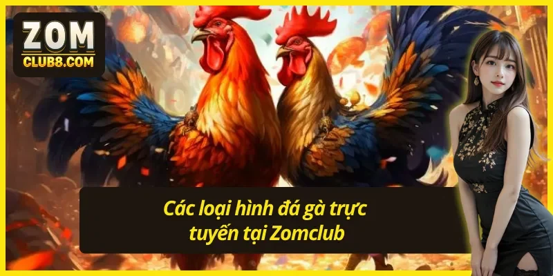 Đá gà Zomclub nhiều hình thức đá gà đa dạng với và mức độ kịch tính riêng