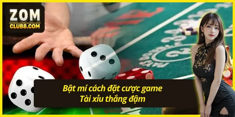 Hướng dẫn cách chơi tài xỉu qua phương pháp soi cầu